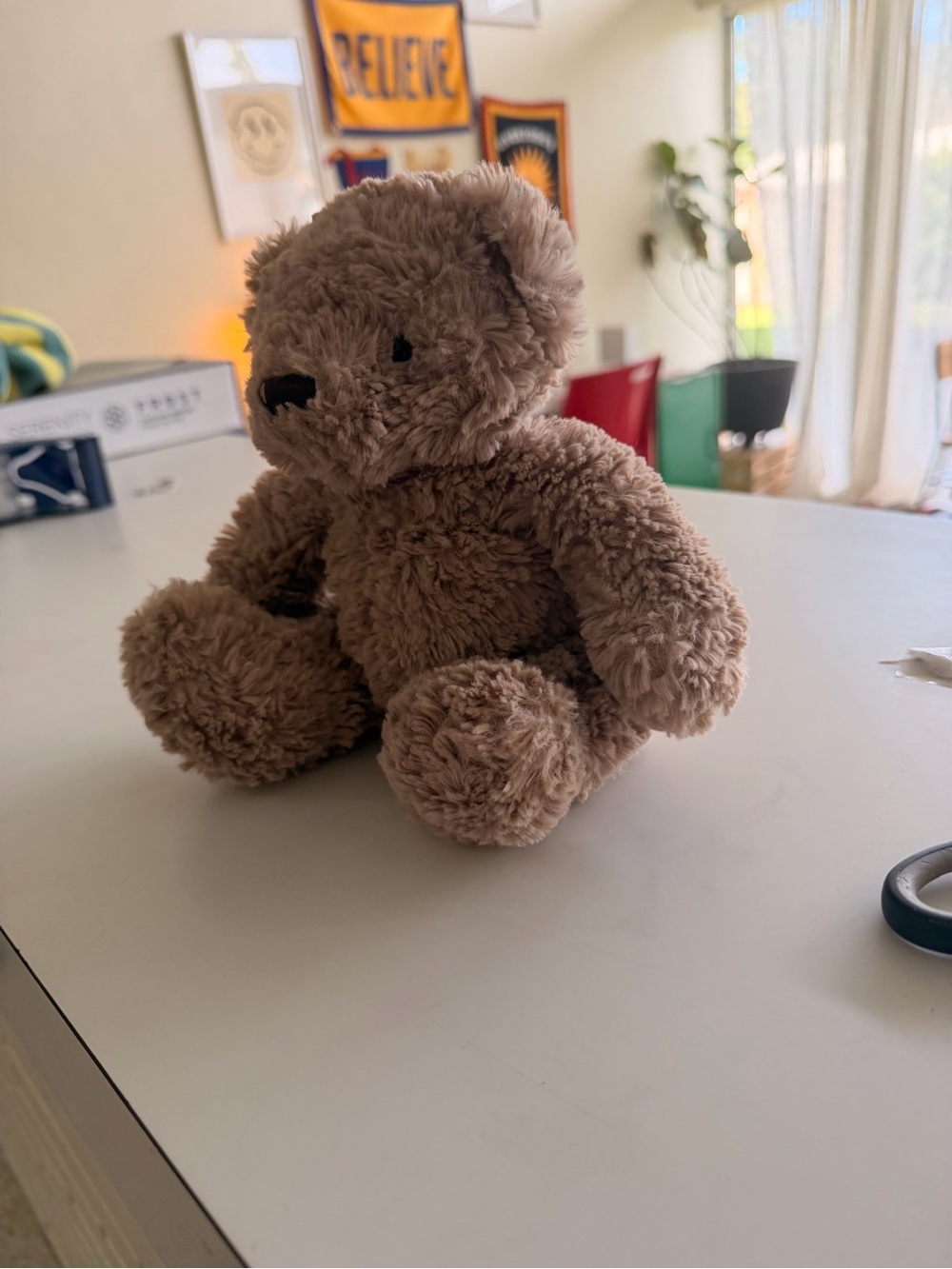 Jelly cat bear
